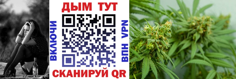 Где купить наркотики Дальнегорск ГАШ А ПВП МЕТАМФЕТАМИН Мефедрон Каннабис COCAIN