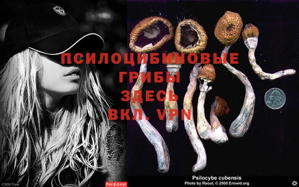 таблы Богородицк