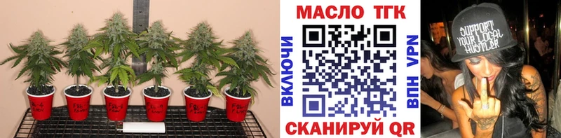 Дистиллят ТГК гашишное масло Дальнегорск