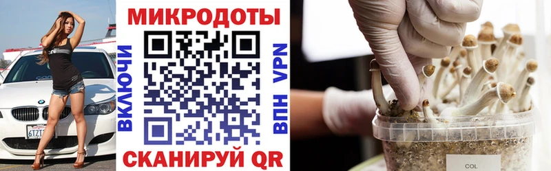Галлюциногенные грибы Cubensis  дарк нет наркотические препараты  Дальнегорск  где найти наркотики 